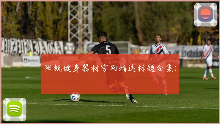 阳锐健身器材官网精选标题合集: