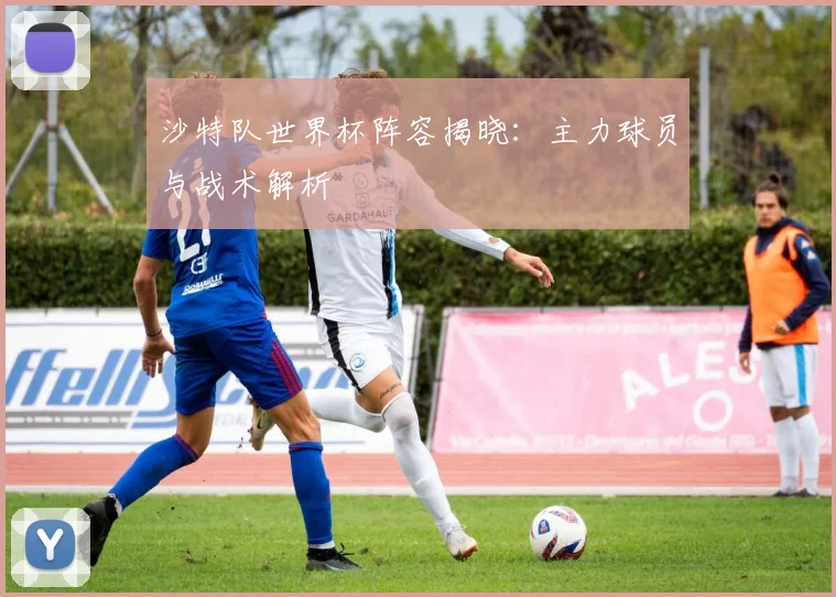 沙特队世界杯阵容揭晓：主力球员与战术解析