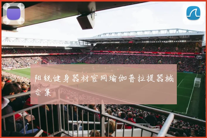 阳锐健身器材官网瑜伽普拉提器械合集