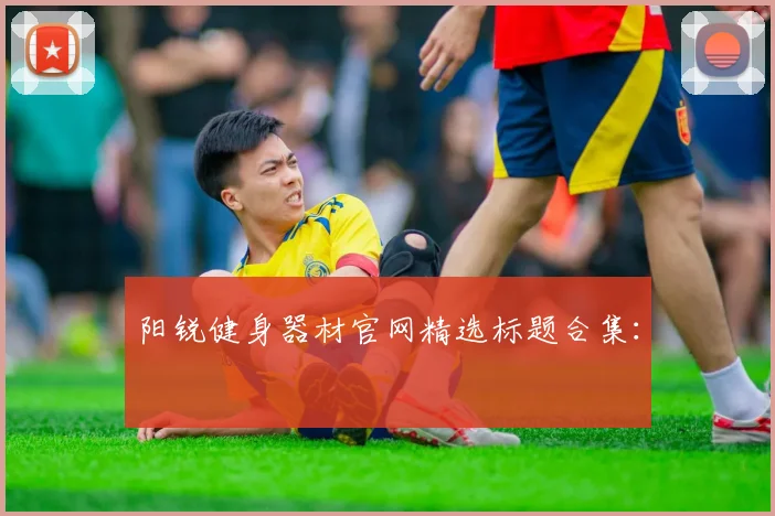 阳锐健身器材官网精选标题合集: