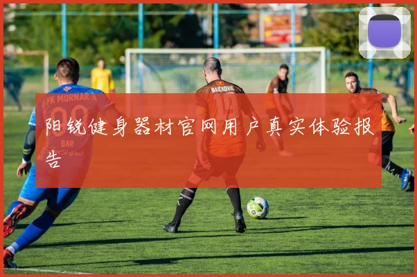阳锐健身器材官网用户真实体验报告
