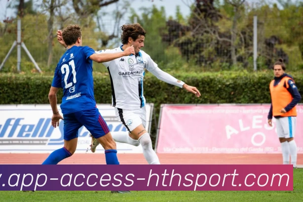 华体会平台生态图